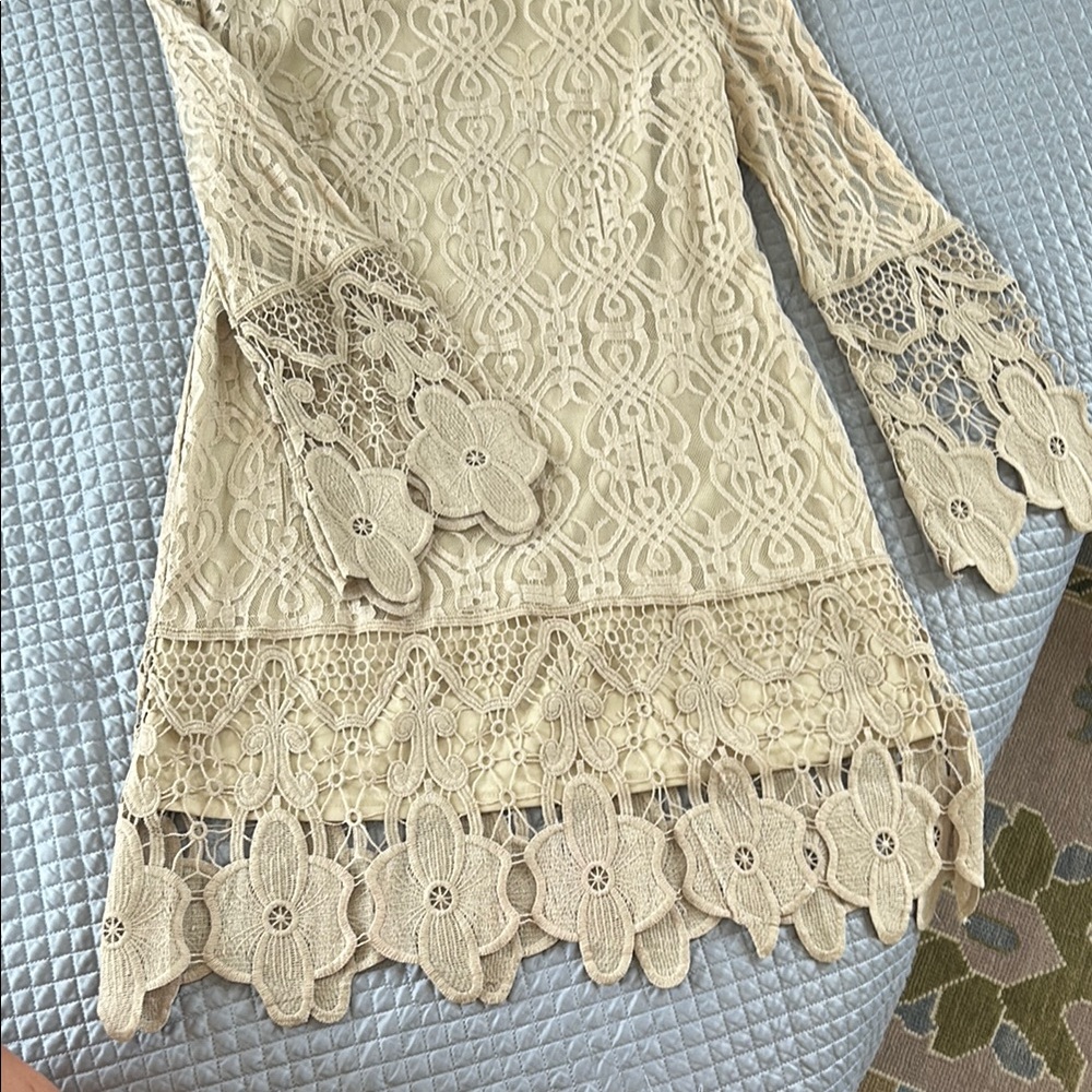 Elegant Lace Dress with Floral Details